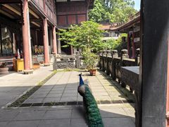 -都江堰普照寺