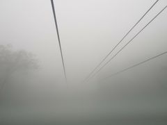 -牛背梁国家森林公园