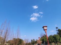 -眉山湿地公园(东坡区)