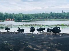 -长春市南湖公园