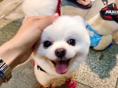 -盒马鲜生(曜一城店)
