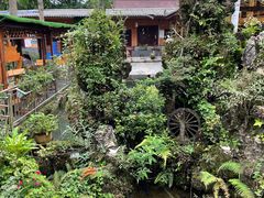 -源泉冷水鱼庄(小鱼洞店)
