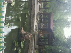 android_upload_pic-沈阳中山公园