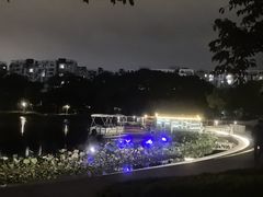 -新江湾城公园