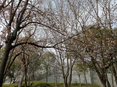 -尚贤河湿地