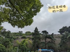 -丁老爷子苏香圆