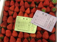 -西郊国际农产品交易中心