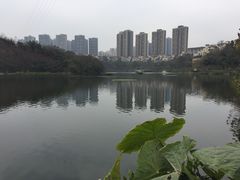 -重庆彩云湖湿地公园