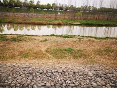 -洨河生态公园