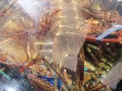 -七鲜超市(万向城店)
