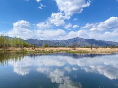 -野鸭湖国家湿地公园