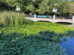 -大连植物园