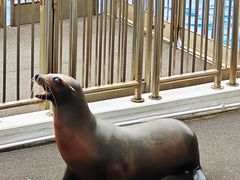 -香港海洋公园