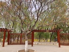 -大兴滨河森林公园