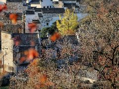 -塔川景区