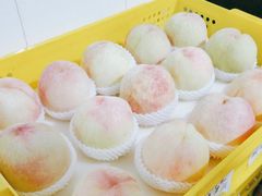 -老袁家蜜桃农场·阳山水蜜桃