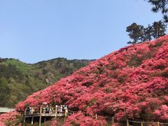 -木兰云雾山