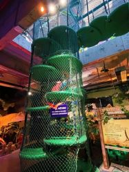 -恐龙探索乐园(磁器口店)