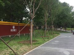 -回龙观体育文化公园