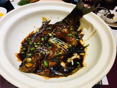 红烧野生大鳊鱼-930私房菜(欧阳路店)