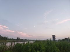 -春花秋色城市公园