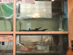 门面-云中鱼蒸汽石锅鱼(川沙百联店)