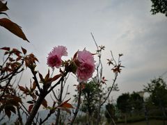 -福州罗源湾海洋世界旅游区