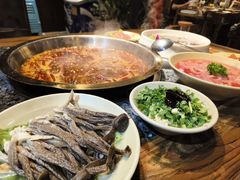 -蜀大侠火锅(建设路第五大道店)