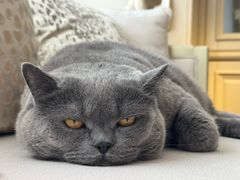 -Me Coffee下午茶艺术空间