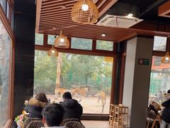-上海野生动物园老虎餐厅