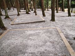 -重庆睡佛山森林公园