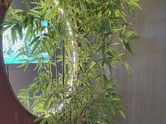 -7号院家宴.烧鸽子(门头沟店)