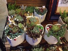 -山有花啡餐厅(常营总店)