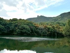 -杭州半山国家森林公园