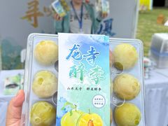 -龙寺生态园