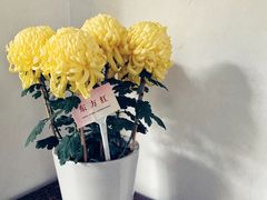 -杭州植物园