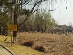 -前关湿地公园