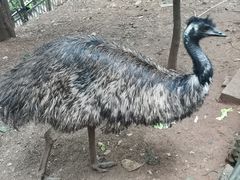 -昆明动物园