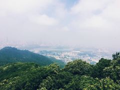 -紫金山索道-售票处