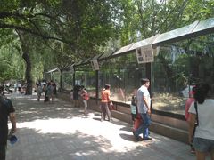 景点-北京动物园