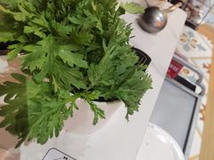 -八合里潮汕鲜牛肉火锅(吉大店)