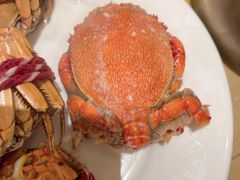 -常州富力喜来登酒店 Feast盛宴标帜西餐厅(新北万达广场店)