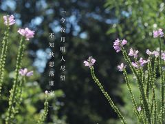 -国家植物园