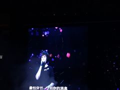 -南京奥林匹克体育中心-体育馆