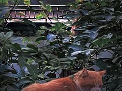 -吴山景区