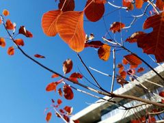 -中关村生命科学园