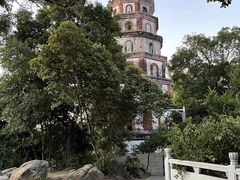 -顺峰山公园