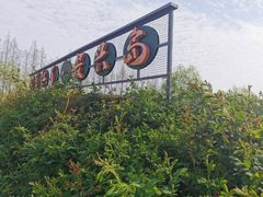 -前小桔亲子创意农场·草莓采摘·露营烧烤
