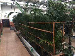 -天发长铁锅炖(王秀村店)