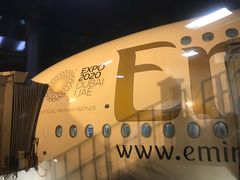 -米兰马尔彭萨国际机场